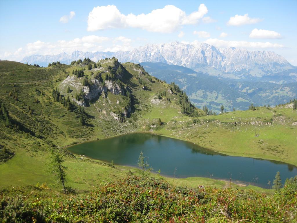 Bergparadies - Inklusive Eintritt In Die Alpentherme Dorfgastein Exterior foto